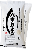 長野県産 こしひかり 八重原米